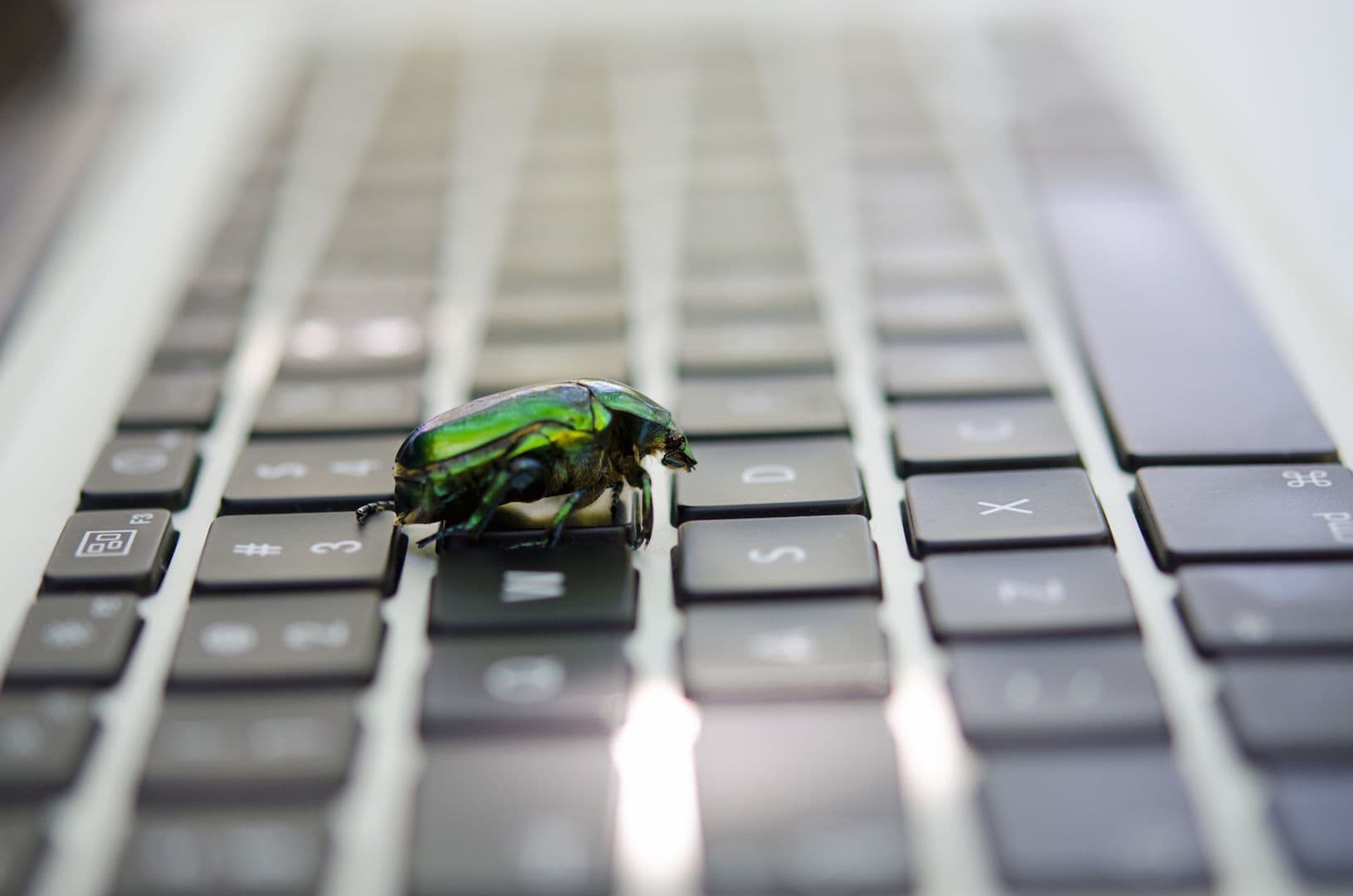 Volunteer Bitcoin Developers Flag 85 Critical Bugs Using AI in Under a Day